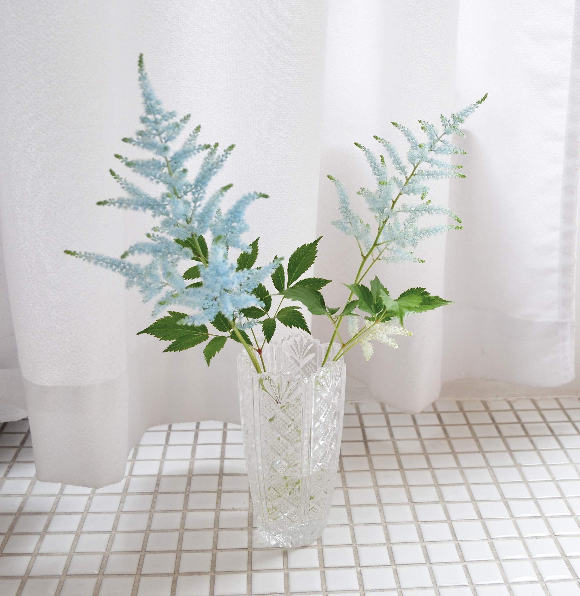 ???????? Toyo Sasaki Glass Flower Base, Approx. 3.1 x 6.3 inches (8 x 16 cm), Table Garden, Flower Vase, Made in Japan, Dishwasher Safe, FV2, Clear