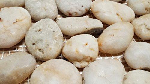 Sunny Pebble Stone Interlocking Pebble Floor Tiles (8-Pack) Kitchen, Bathroom, and Patio Flooring | Indoor and Outdoor Use | Natural Polished Cloud Stones | Quick and Easy Grout Installation