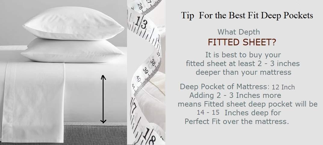 Daisyhome Daisyhome 16 PCS Rug Tape, Rug Pad Gripper for Hardwood Floors, Double Sided Adhesive Carpet Tape, Reusable Anti Slip Rug Grips for Area Rugs to Keep Rug Corners Flat