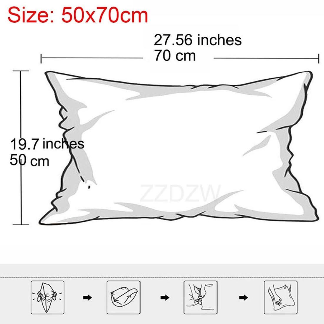 ZZDZW ZZDZW Pillowcases Standard Set of 2, 20x28 Inch Pillow Case 50x70 Cm with ZipperSuper Soft Plush Rectangle Decorative Cushion Covers for Pillows Sofa Couch Bed(Black)