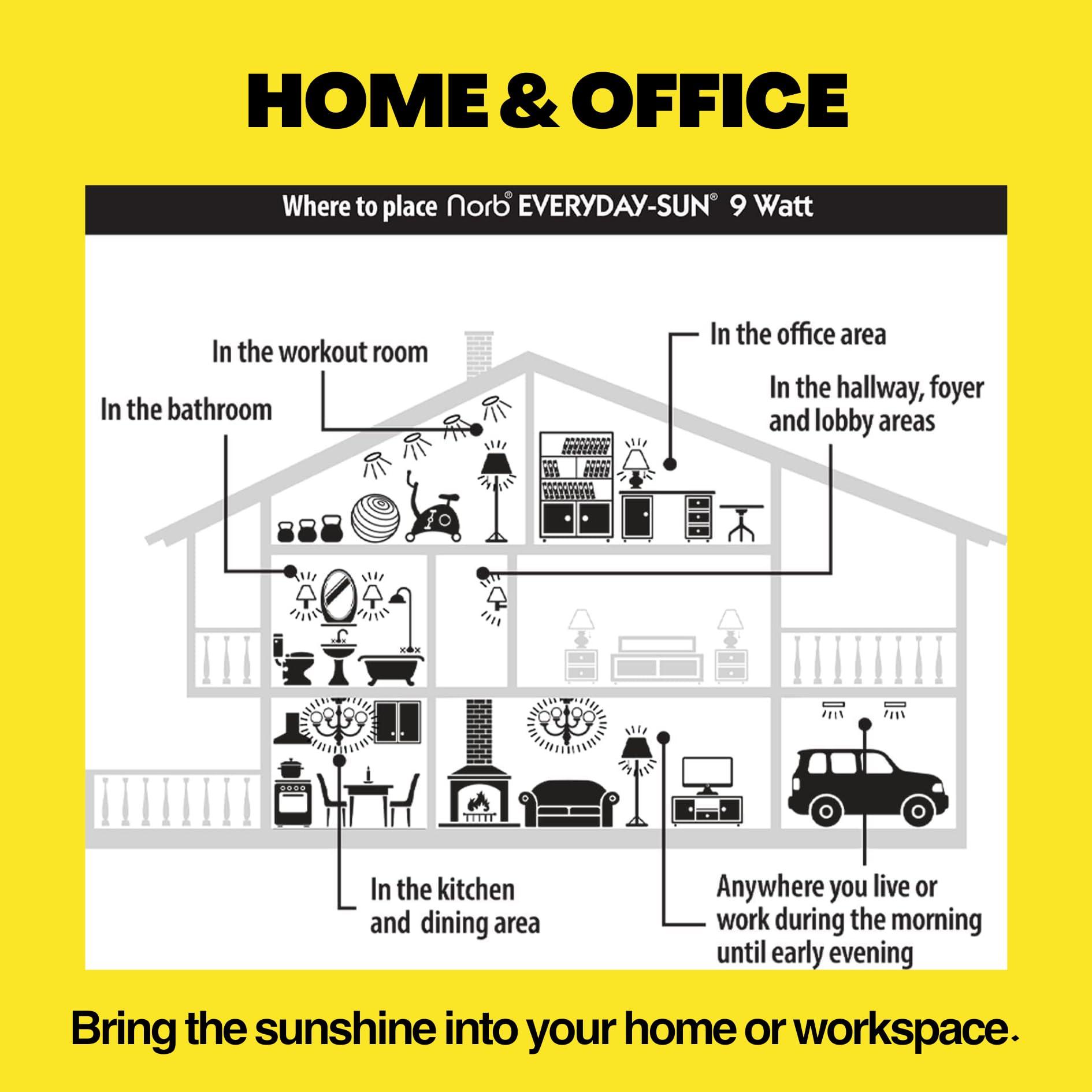 Norb Norb Everyday Sun Light Bulb - Full Spectrum Wellness Lighting with Sun-Mimicking Technology for Energy, Mood & Performance. Supports Sleep/Wake Cycles, 5000K, 9W, 2-Pack, US Based, Budget-Priced