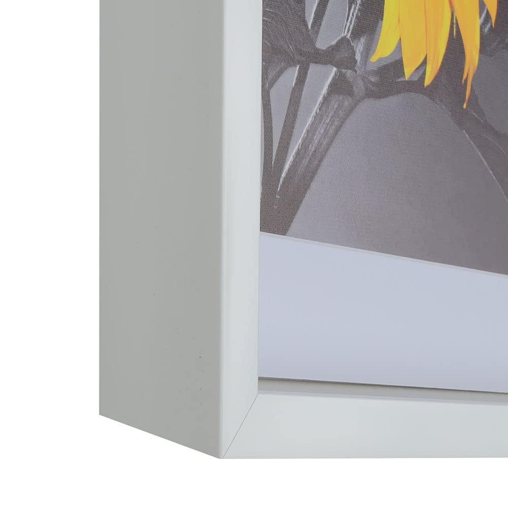 WHOLESALE ARTS AND FRAMES WHOLESALE ARTS AND FRAMES 2-3/16\" Deep Polystyrene Shadow Box Picture Frame - by WholesaleArtsFrames-com 13x13 2880 - White - American Made