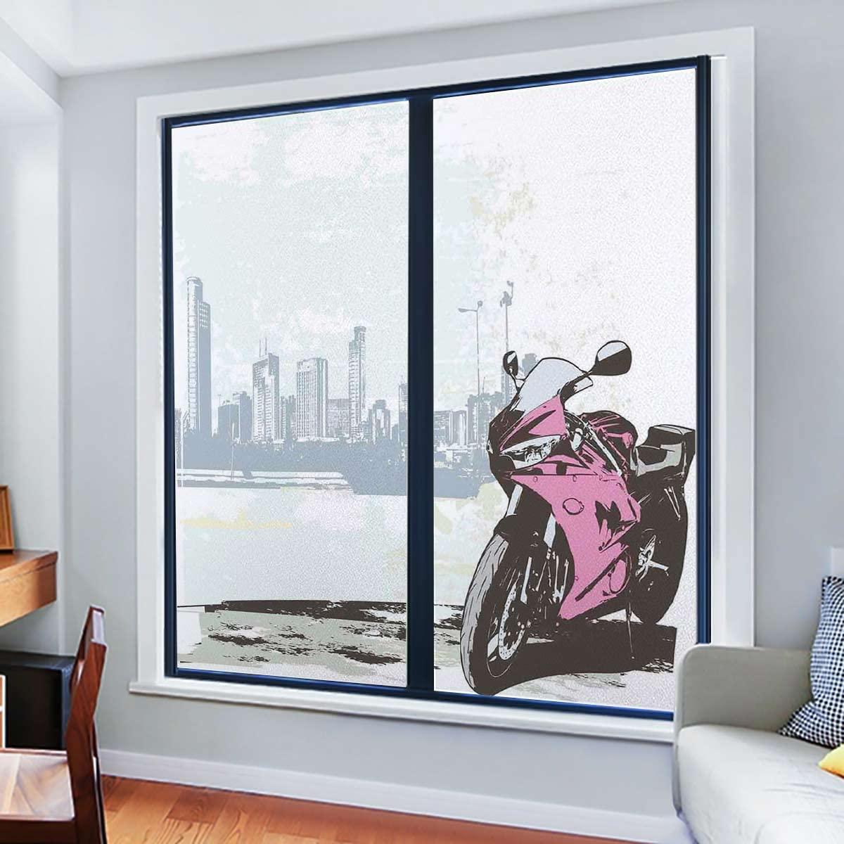 HomeLoft Basics Frosted Glass Window Film,Static Cling Window Film,Window Sticker Privacy,Film for Glass Door Bathroom Office Living Room Motorbike by River 23.6Wx78.7L-inch x2 Pcs