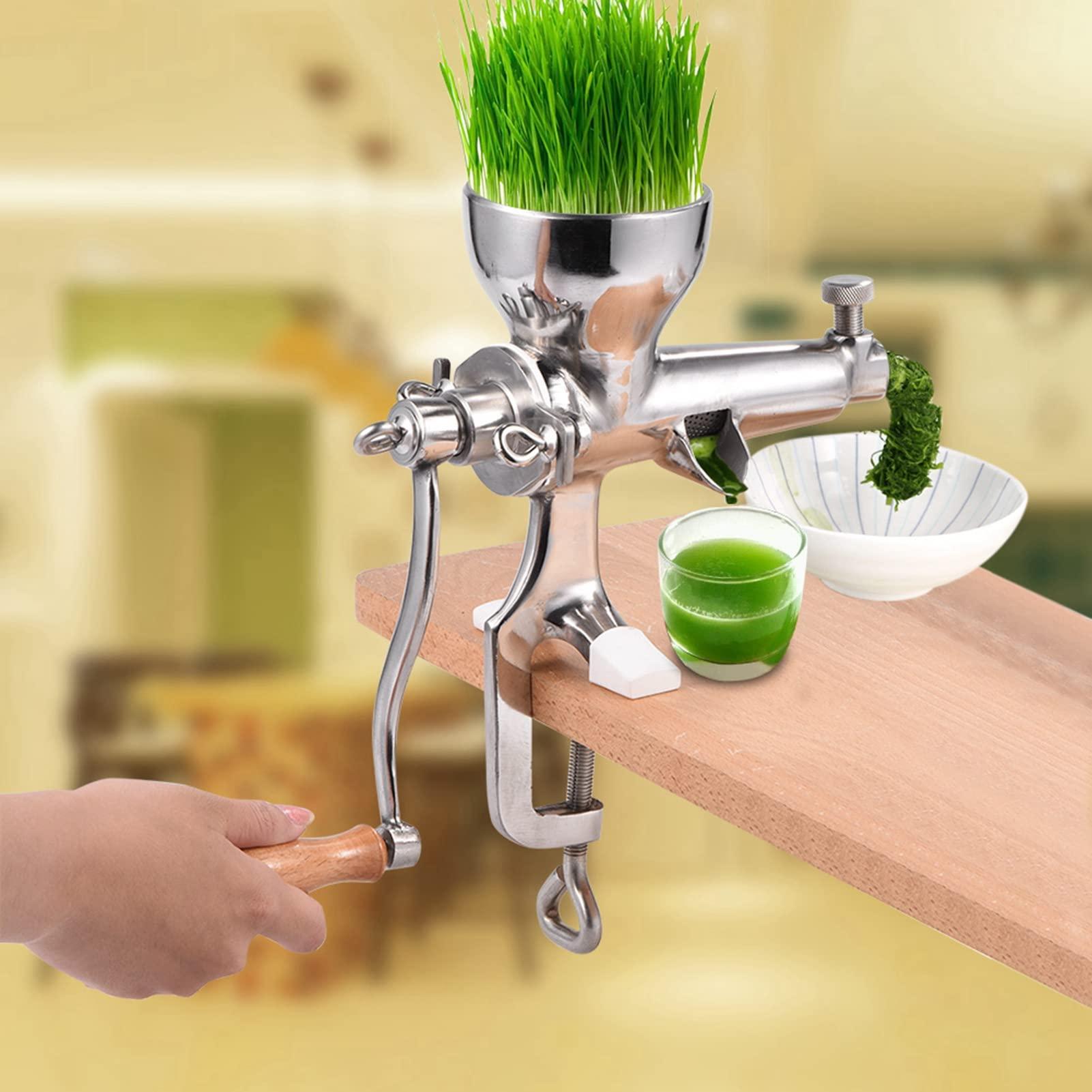 flexman FLEXMAN Stainless Steel Wheat Grass, Wheatgrass Manual Hand Juicer Health Juice Extractor Tool for Grass, Fruit, Vegetables