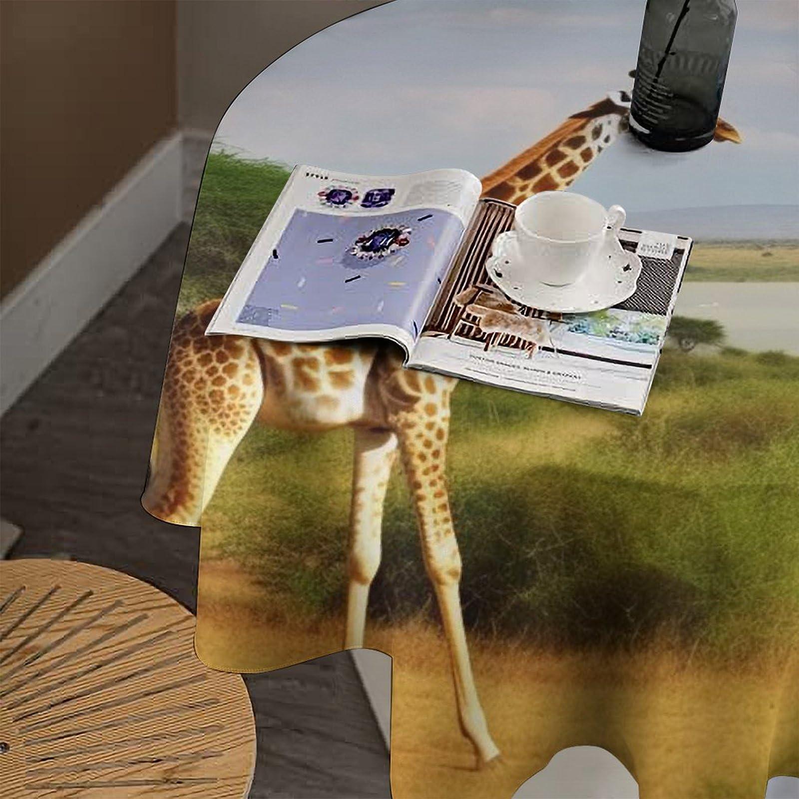 KAFFA ROASTER KALDI Coffee Roaster - Motor Drive Type (Roaster Only)