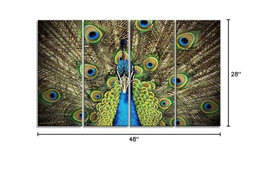 Designart Designart Grand Peacock-Animal Photography Metal Wall Art-MT6535-48x28-4 Panels, 28\'\' H x 48\'\' W x 1\'\' D 4P