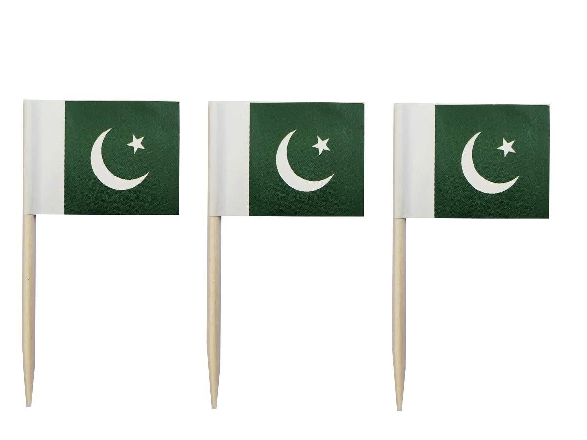 JAVD CYPS 100 Pcs Pakistan Flag Pakistani Toothpick Flags, Small Mini Stick Cupcake Toppers Pakistani Flags,Country Picks Party Decoration Celebration Cocktail Food Bar Cake Flags