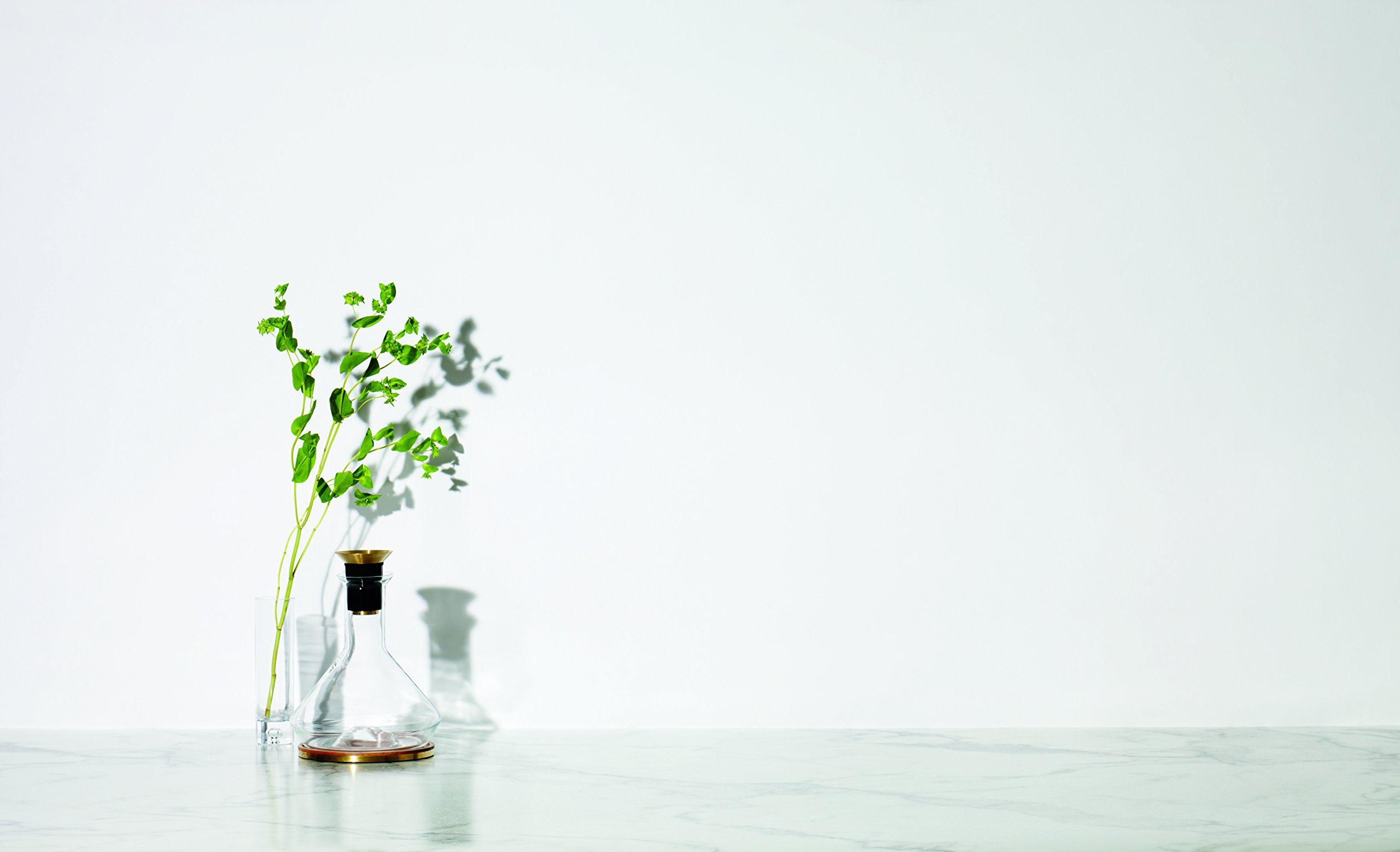 RBT RBT Decanter with Wood Coaster and Micro-Perforated Aerator