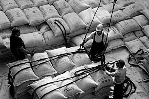 Bristot Bristot Tiziano Premium Quality Italian Coffee Beans | Italian Espresso Beans Whole | | 2.2 lb/1kg