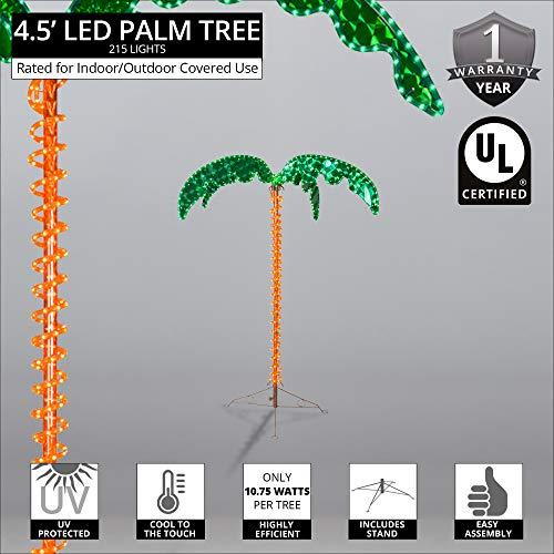 Wintergreen Lighting Deluxe Tropical LED Rope Light Palm Tree with Lighted Holographic Trunk and Fronds (4.5 Foot)