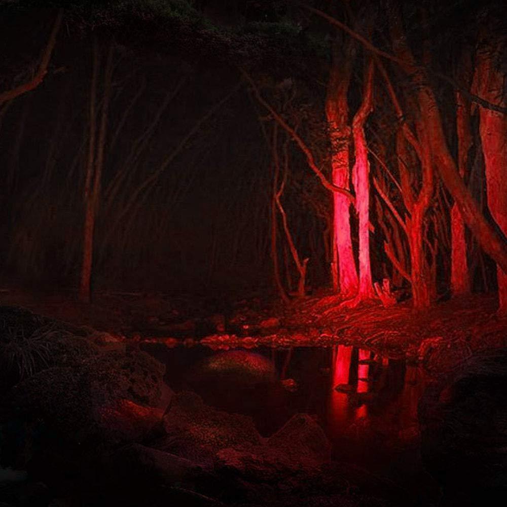 AR happy online AR happy online 3 Pack Red Light Flashlight, 3 Modes Mini Red LED Flashlight, Zoomable Red Flashlight Torch with Clip for Night Vision, Astronomy, Aviation, Night Observation