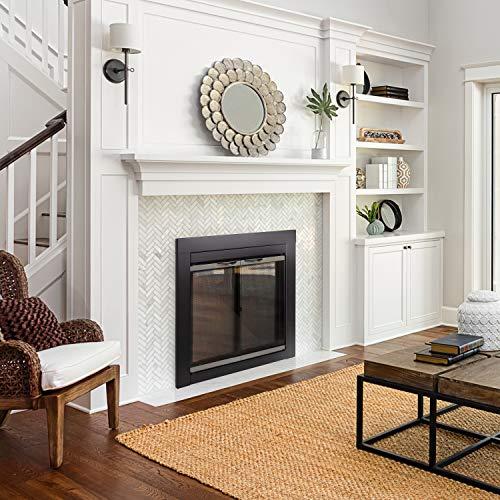 Pleasant Hearth Pleasant Hearth Alsip Sunlight Nickel Glass Firescreen Door | Small