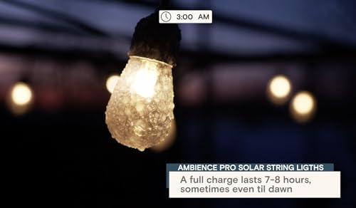 Brightech Brightech Ambience Pro Solar Powered Outdoor String Lights, 27 ft Commercial Grade Waterproof Patio Lights, 12 Edison Bulbs, Shatterproof LED String Lights for Outside, Porch - 1W Soft White