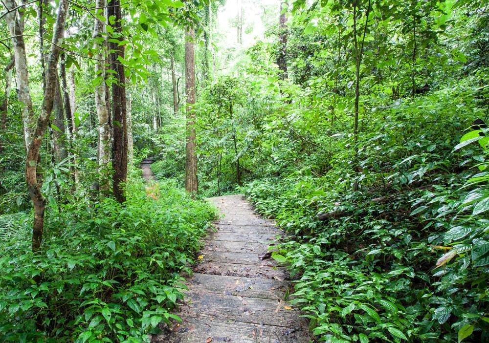 Adesso Adesso Gala Arc Lamp-Natural Natural