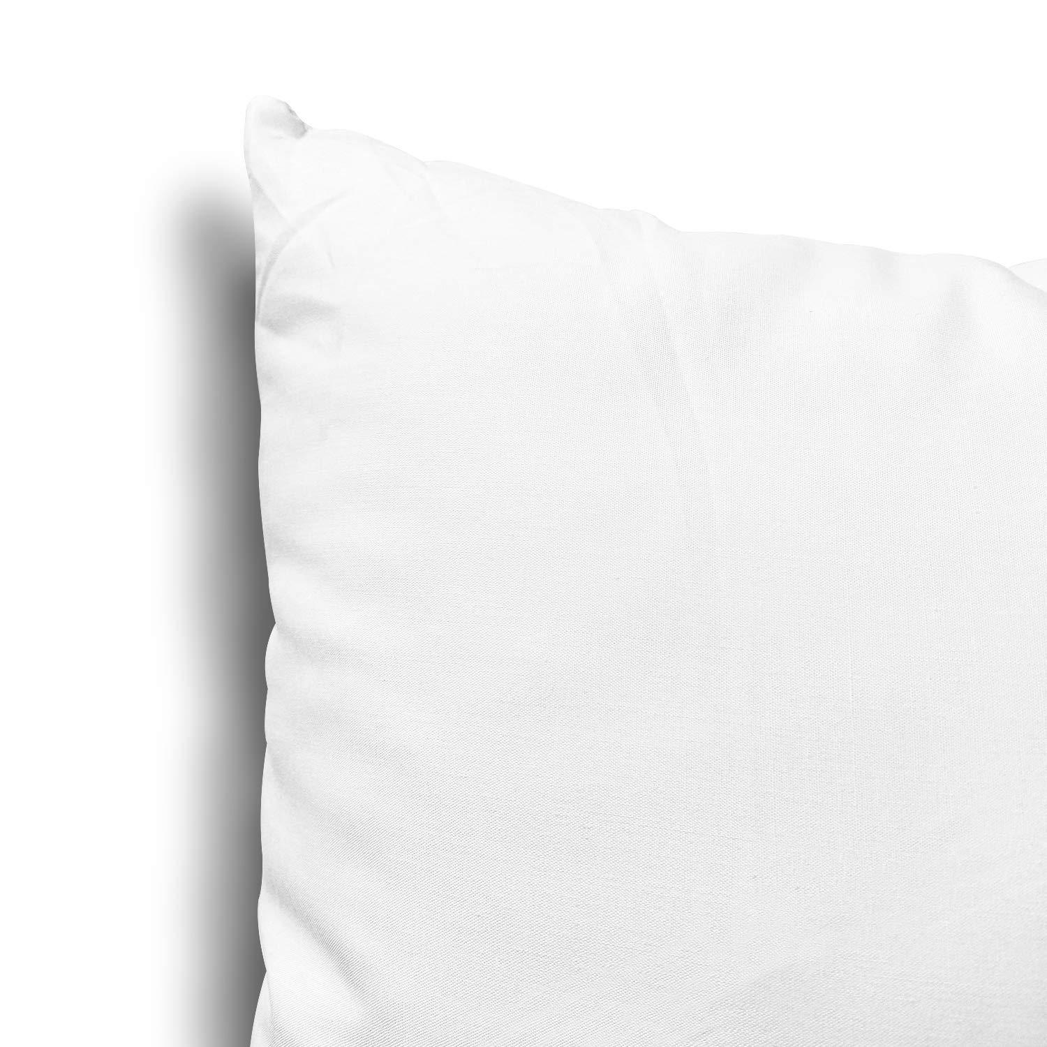 EDOW EDOW Throw Pillow Inserts, Set of 2 Lightweight Down Alternative Polyester Pillow, Couch Cushion, Sham Stuffer, Machine Washable. (White, 26x26)