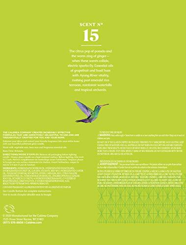 Caldrea Caldrea Scented Candle, Made with Essential Oils and Other Thoughtfully Chosen Ingredients, 45 Hour Burn Time, Ginger Pomelo Scent, 8.1 oz