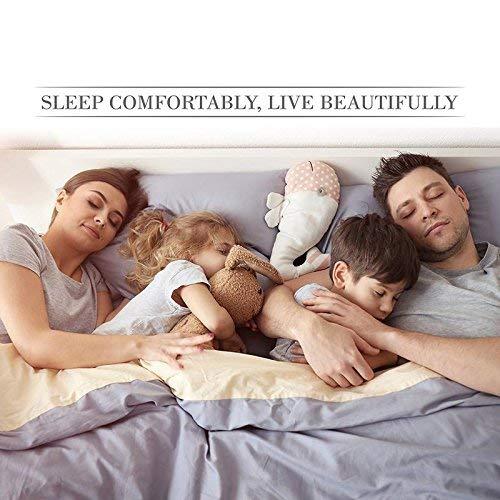 Sophia Cotton Club Queen Size Sheets Hotel Luxury Soft 550-TC Egyptian Cotton - Sheet Set for Queen Size (60x80) Mattress Fits 21-23 Inches Fully Elastic Deep Pocket (Stripe, Taupe)