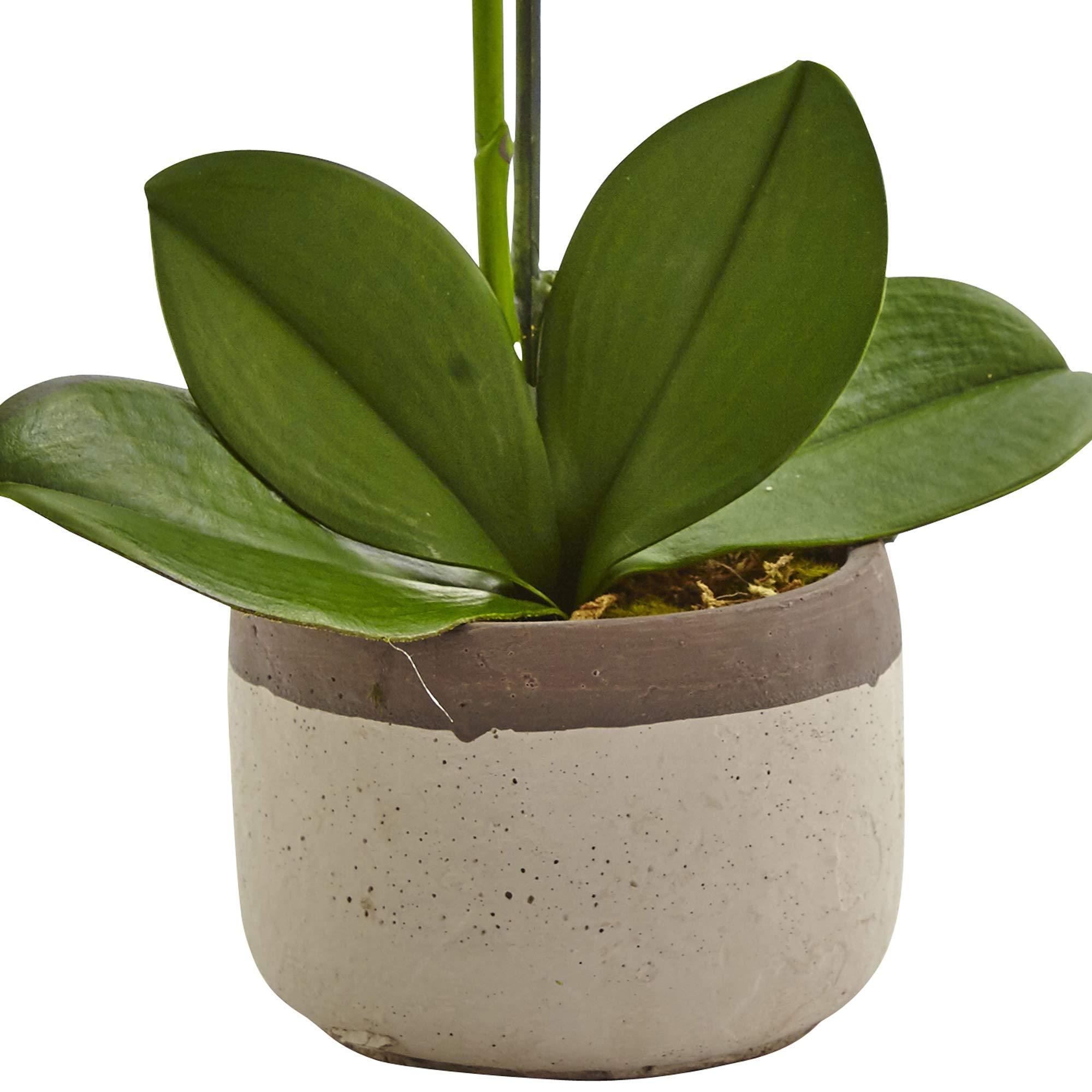 Nearly Natural Nearly Natural Phalaenopsis Orchid in Ceramic Pot
