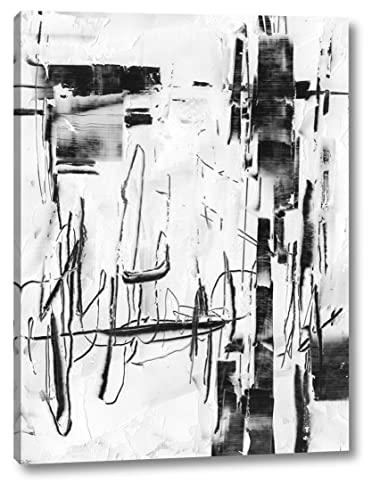 Canvas Art USA Polar Storm II by Ethan Harper - 29\" x 38\" Canvas Art Print Gallery Wrapped - Ready to Hang