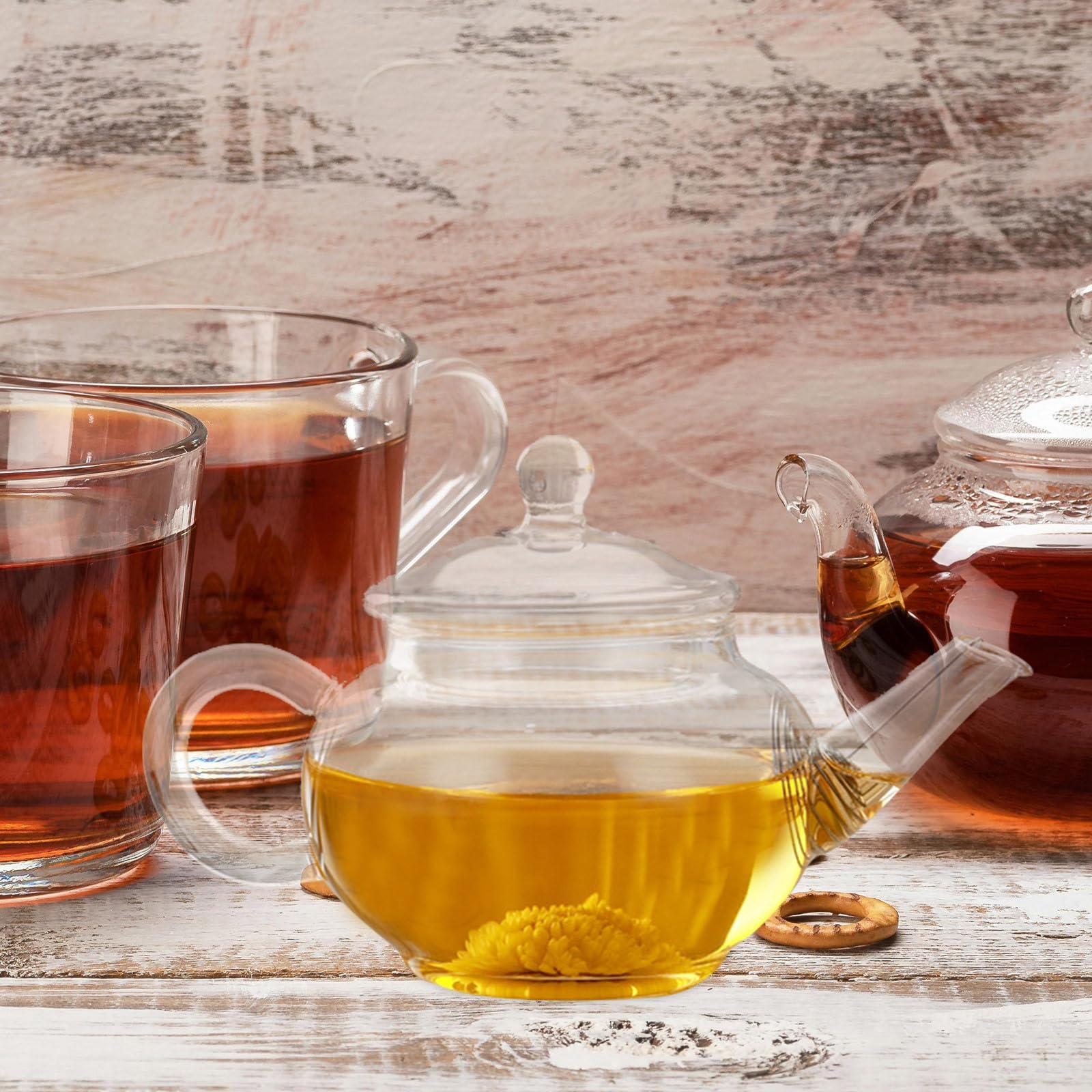Garneck Garneck Tea Kettle with Infuser Glass Tea Kettle,borosilicate Glass Teapot with Infuser Blooming Tea Teapot Teapot Clear Glass Kettle with Strainer