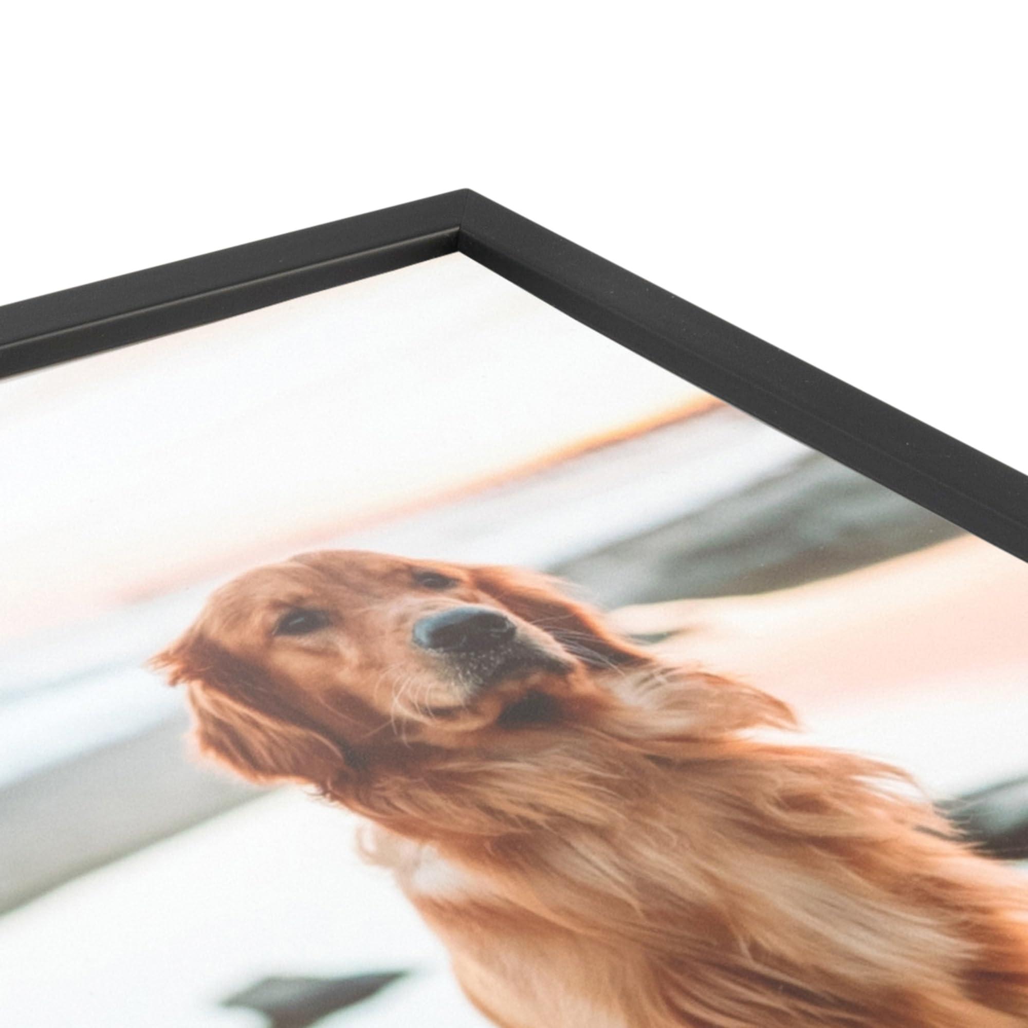 ArtToFrames ArtToFrames 18x24 Inch Black Picture Frame, This 0.75 Inch Custom Wood Poster Frame is Satin Black Short - Comes with Foam Backing 3/16 inch and Regular Acrylic (FBPL10010-18x24)