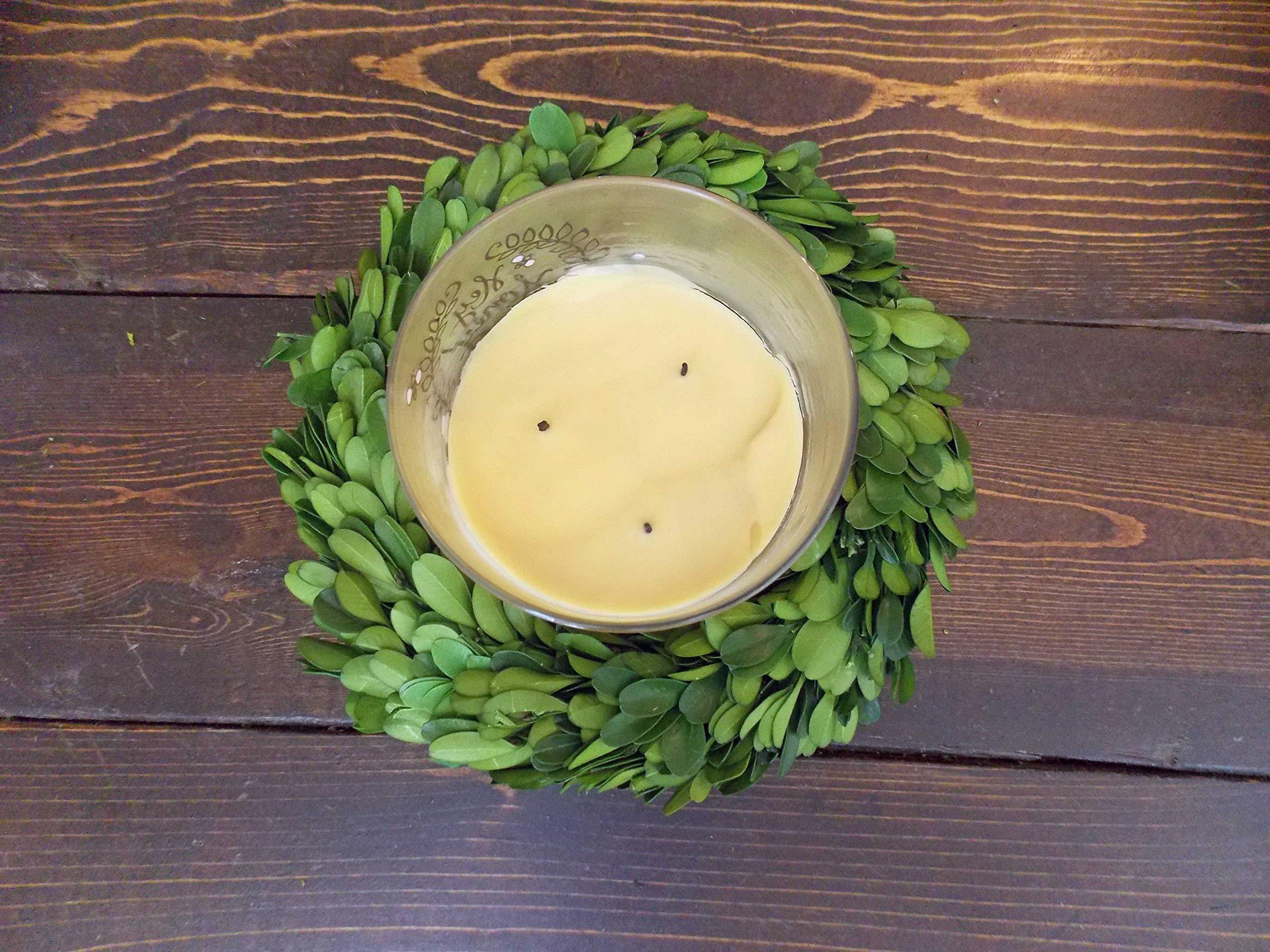 Wreath and Vine 10 Inch Small Mini Preserved Boxwood Wreath Candle Ring Holder, Decorative for Christmas Year Round, Spring, Summer, Thanksgiving, Rustic Farmhouse Holiday Home Decor, Handmade, Green