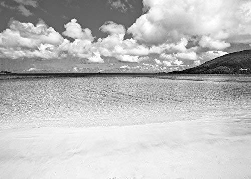 Catch A Star Fine Art Black and White Beach Photography Coastal Island Art 8x10 Matted Print