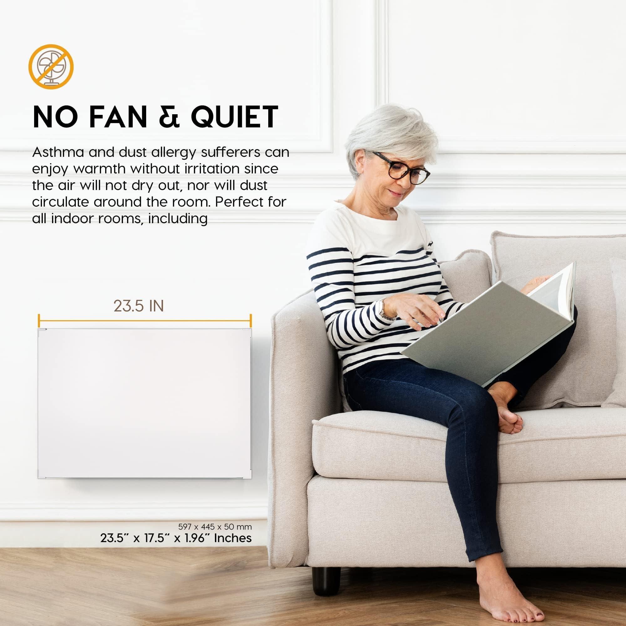 EconoHome EconoHome Wall Mount Space Heater Panel with Heat Guard - 250 Watt Splashproof Convection Heater with Thermostat - Ideal for 100 Sqf Room or Bathroom - 120V Electric Heater - Updated Model