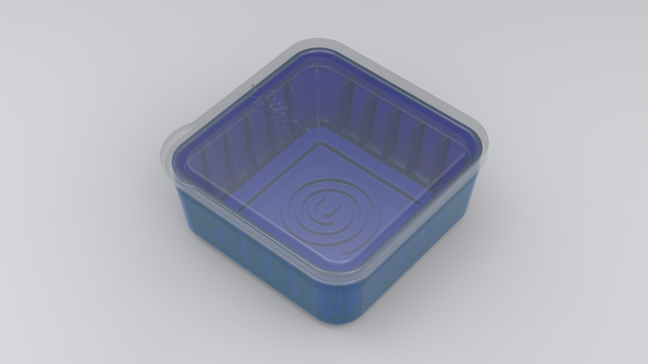 Frego Frego 798304217261 Food Container, 2-Cup, Orange