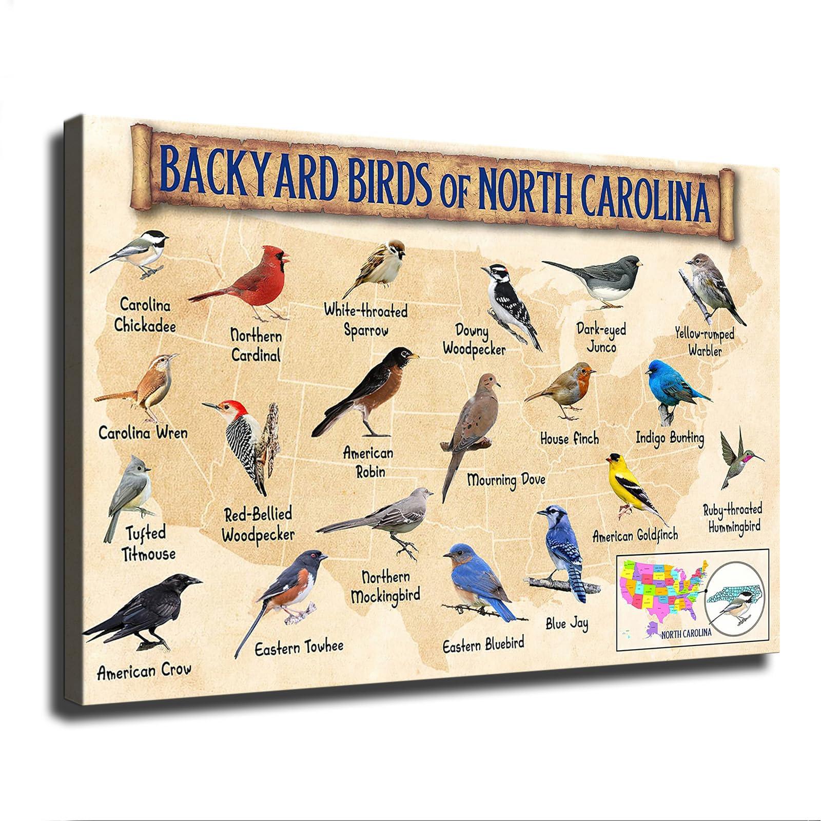 goodho goodho Backyard Birds of North Carolina - Bird Watching Poster Picture HD Printing Modern Home Bedroom Wall Art Kitchen Office Decoration (Unframed,0812inch)