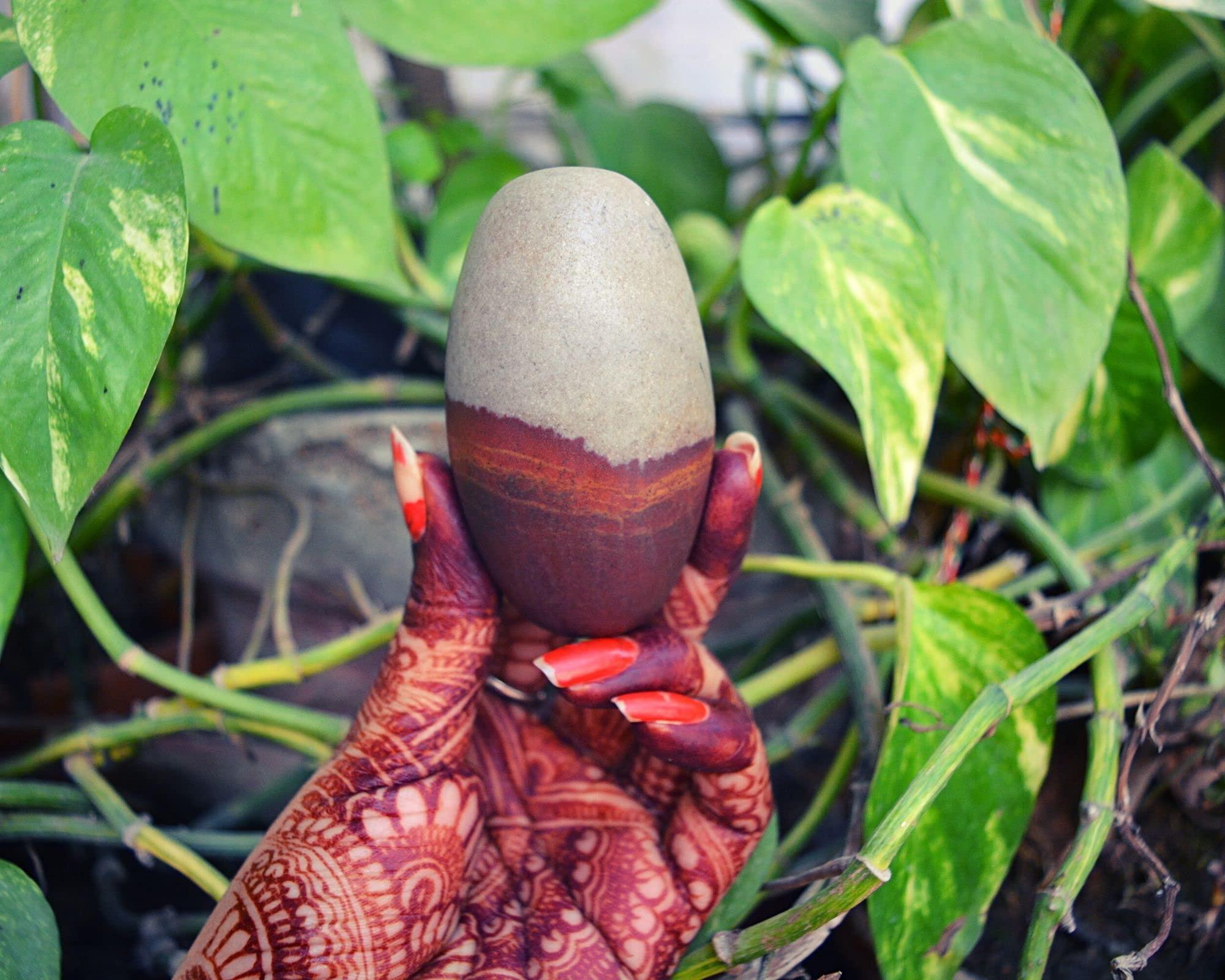 Shiva Lingam Shop 3" Narmadeshwaram Lingam with 6" Black Yoni Base Unique Shivlingam Set~I-5631