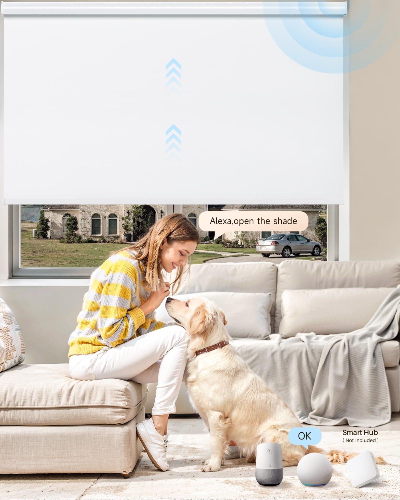 JaeJaes JaeJaes Motorized Roller Shades, Automatic Blackout Shades, Compatible with Alexa and Google Home, Cordless Automatic Window Shades, White, 20" W x 72" H