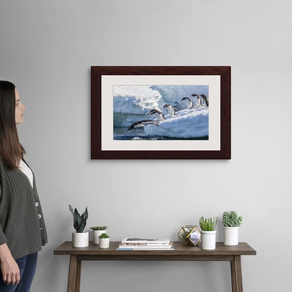 QualityBeddingHub Brick Red Zipper Fitted Sheet Queen Size 10 Inches Pocket 60 x 80 Inches 800 Thread Count Egyptian Cotton Fitted Sheets for Queen Size Bed with Zipper