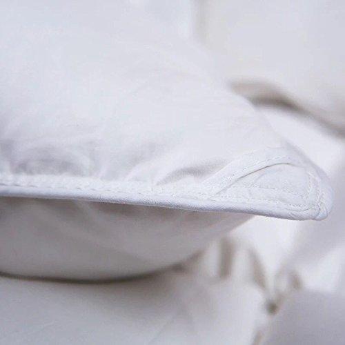 ROSE FEATHER Toddler/Travel/Crib Goose Down Comforter Duvet/Blanket Multifunctional,100% Organic Cotton Washable Unisex Kids,All Season,White 33x43