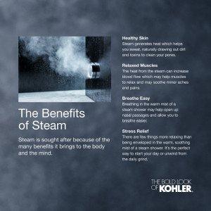 Kohler Kohler K-5557-BN Invigoration Series Steam Generator Control Kit, Vibrant Brushed Nickel
