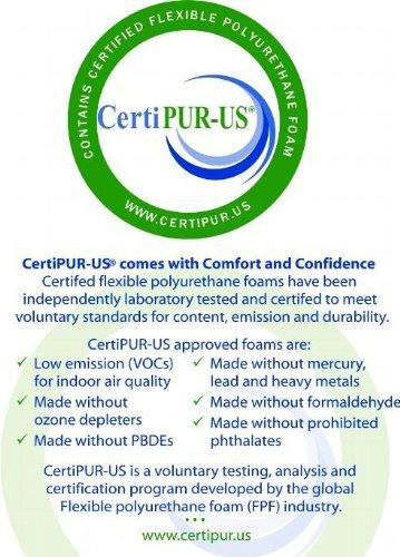 PlushBeds PlushBeds Resort Sofa Mattress Premium Memory Foam | Handcrafted in The USA | CertiPUR-US® Certified Plush Foam Layer | GreenGuard Gold Certified | Luxurious Comfort | Superior Support | Twin