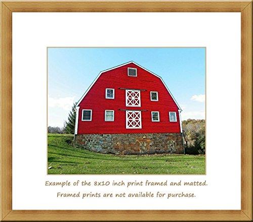 Generic Big Red Dairy Barn. A fine art photograph of a pretty red dairy barn with a Gambrel roof. Wonderful double-X brace doors!