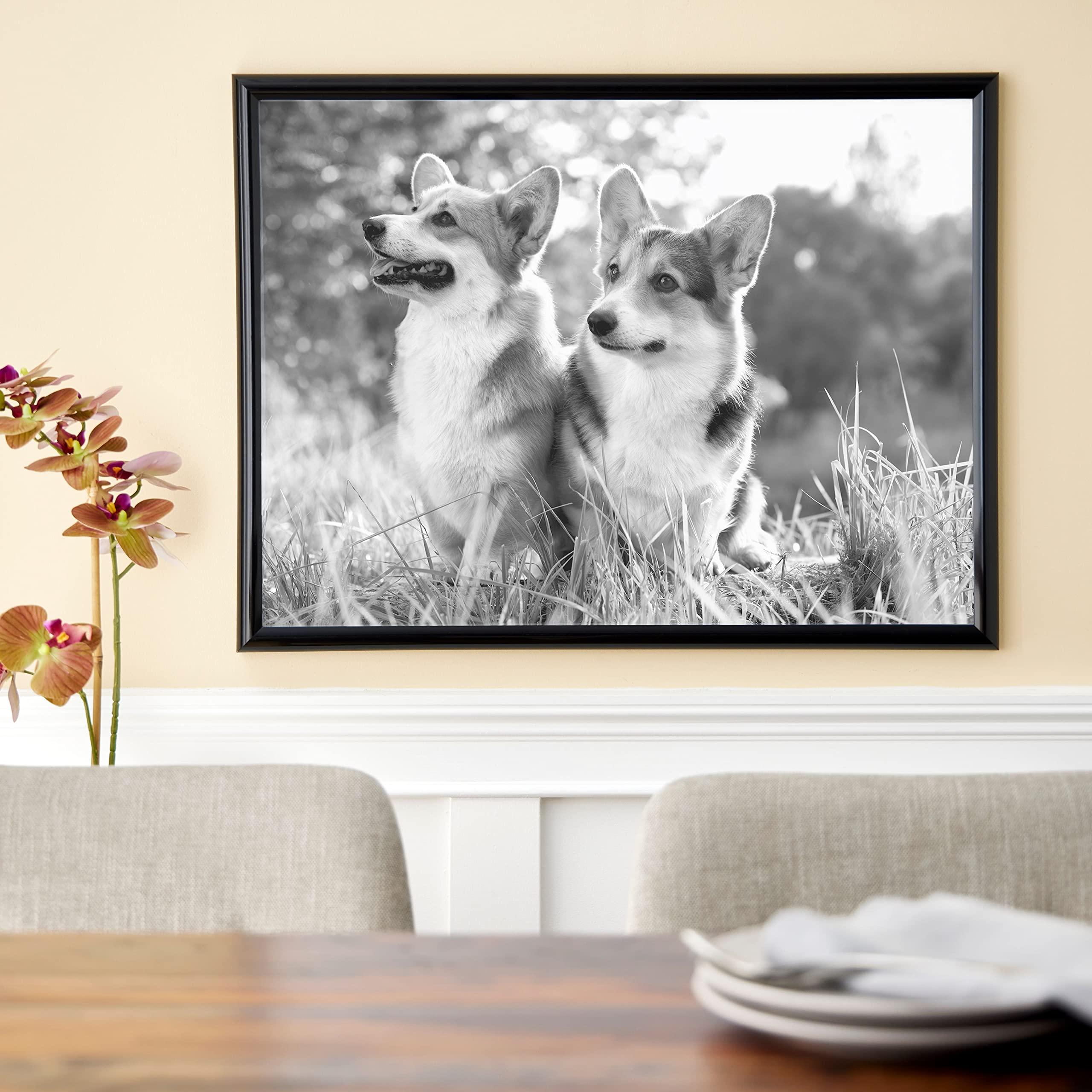 Studio Decor 18 x 24 Plastic Poster Frame by Studio Dcor - Includes Pre-attached Hanging Hardware, Horizontal or Vertical Display - Black, Bulk 6 Pack