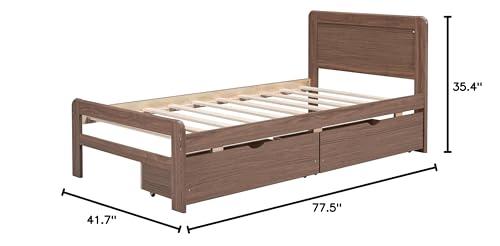 HomeLoft Basics Modern Design Twin Size Platform Bed Frame with 2 Drawers for Walnut Color