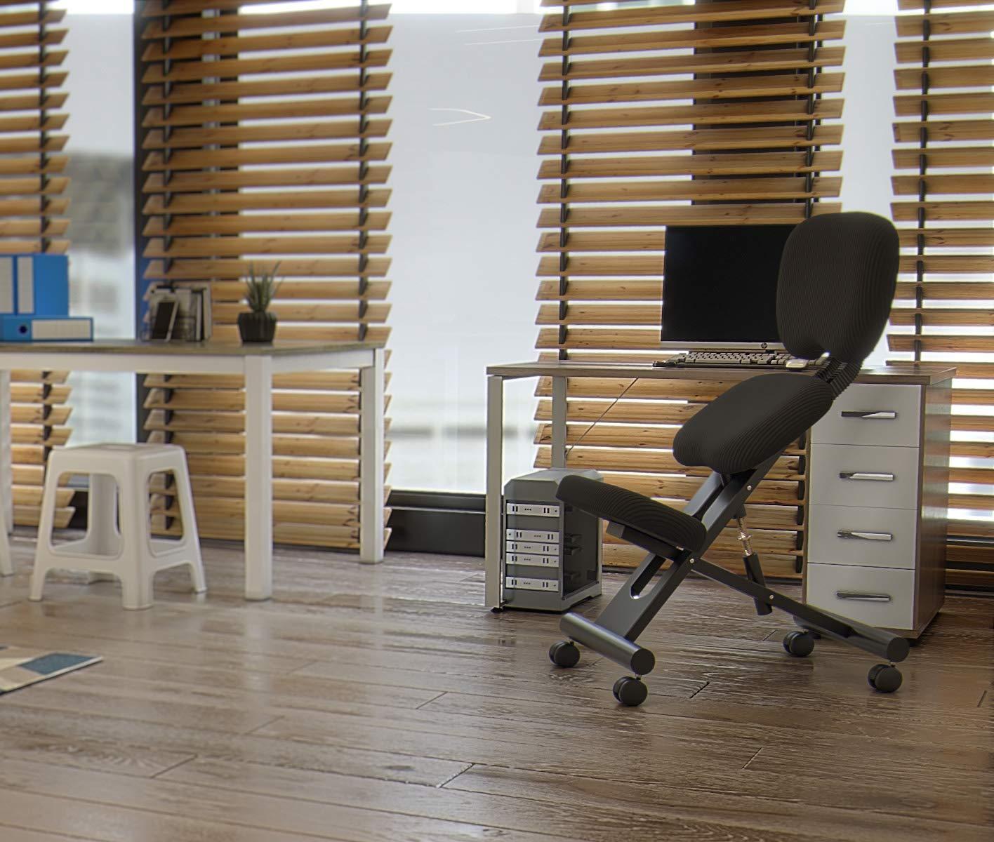 Cinius cinius Ergonomic Chair with Backrest, Black