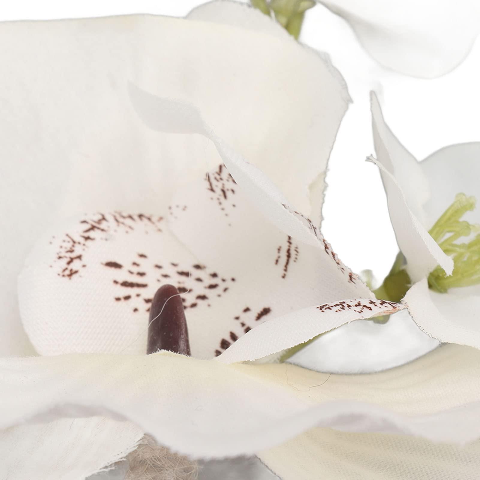 KWQBHW KWQBHW 5 Pcs Groom Boutonniere Wedding Elegant Orchid Boutonniere for Men with Pins Groom and Groomsmen Boutonniere for Wedding Ceremony Anniversary Party(White)