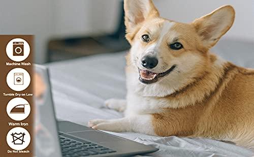 Huyenma Colossians 3 23-24 Bible Scripture Wall Decor Bible Poster Pictures Decoration Living Room Print Kitchen Pictures for Hallway Contemporary Painting (16x24inch(40x60cm),Unframed)