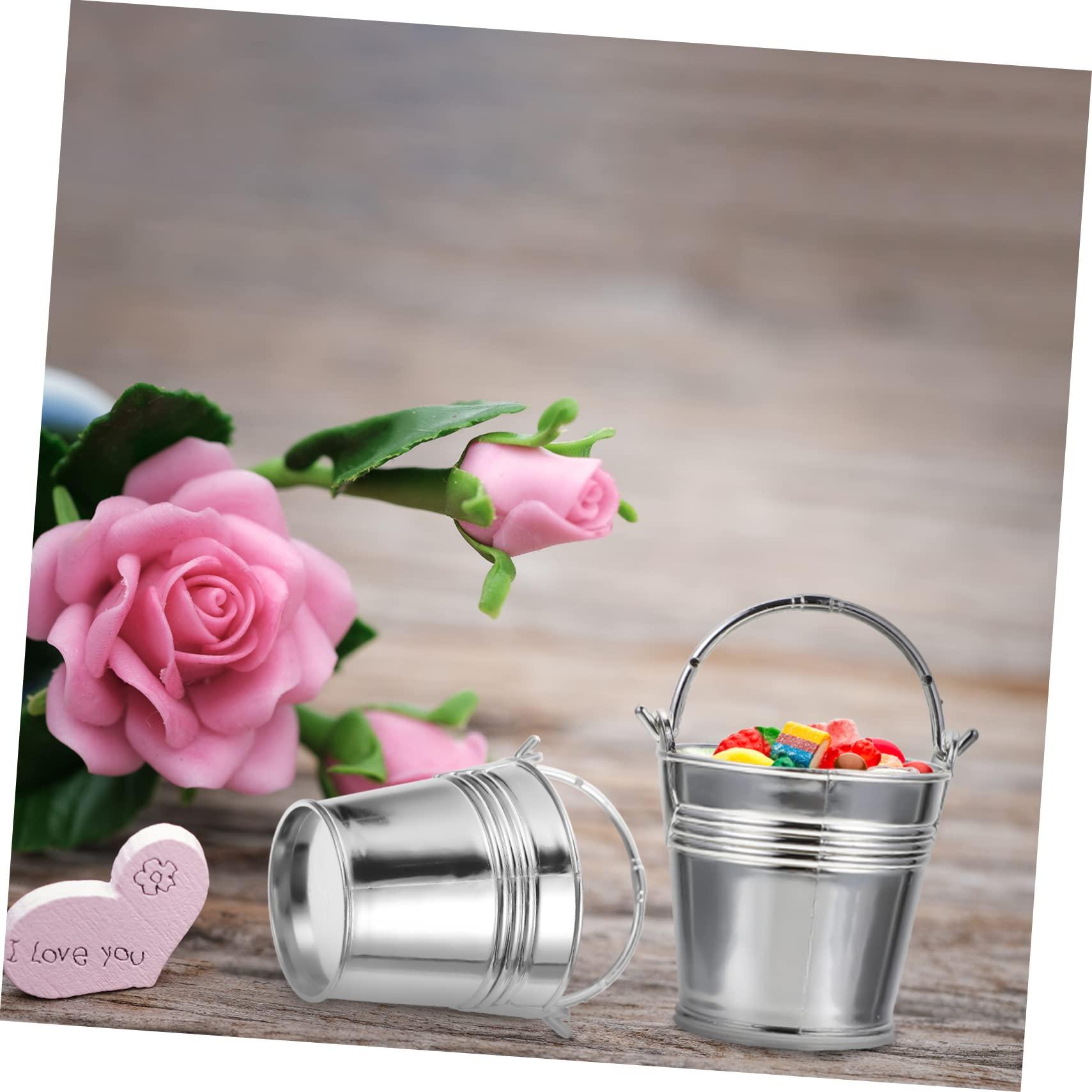 MERRYHAPY MERRYHAPY 10pcs Snack Bucket Maple Syrup Candy Mini Pail Jars Popcorn Grease Container Candy Tray Wicker Test Tube Holder Dispenser Foldable Mini Galvanized Buckets Basket Kit Silver Plastic