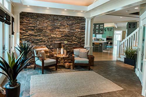 LEDVANCE SYLVANIA PAR30LN Long Neck Flood LED Light Bulb, 19W, 75W Equivalent, Dimmable, 1800 Lumens, 3000K, White - 1 Pack (79361)