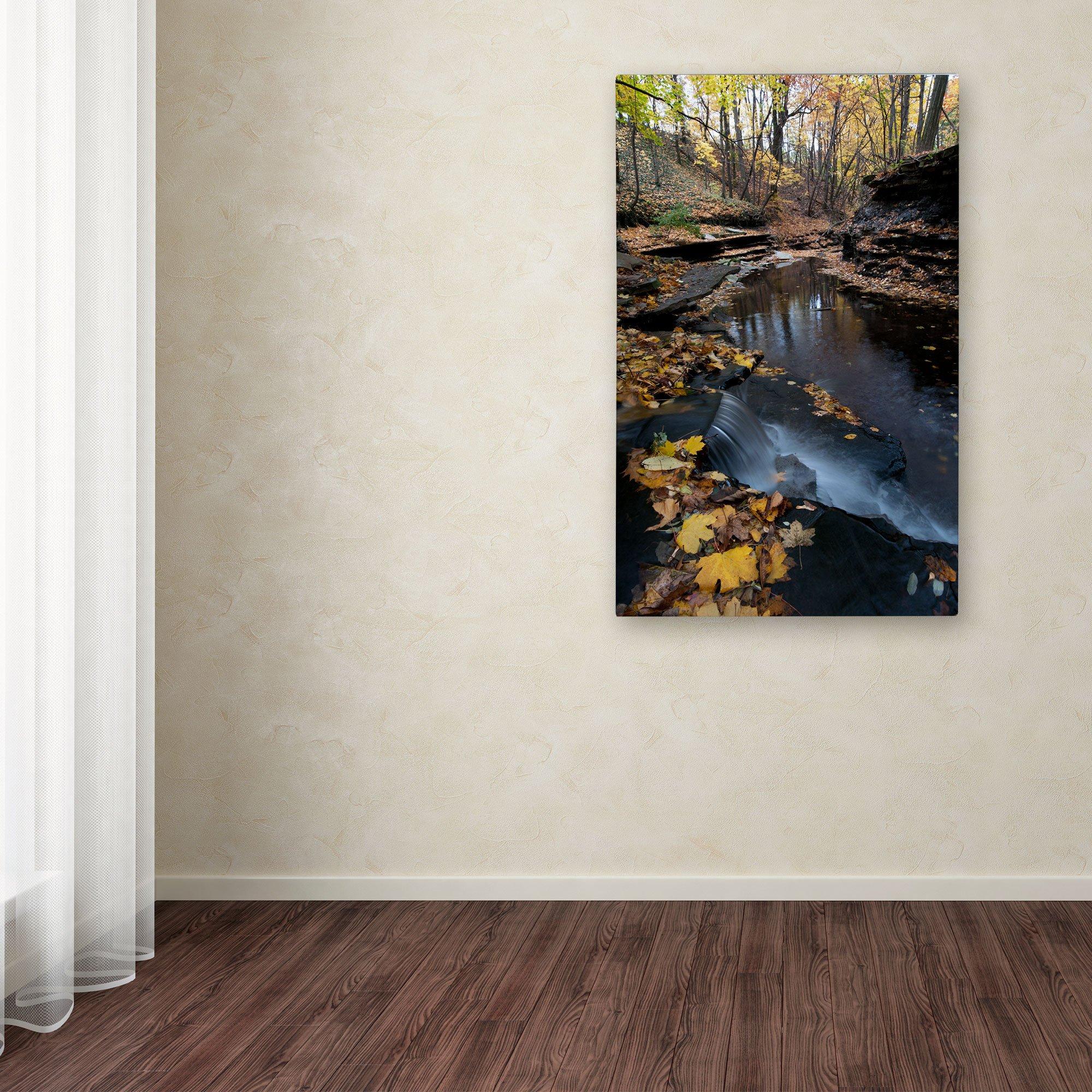 GET G.E.T. B-792-OR/BK Angled Cascading Serving Bowl for Salads, Rice and Dessert, 24 Ounce / 9.25\", Orange/Black, 1 Count (Pack of 1)