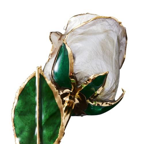 Eternal Rose Eternal Rose Pearl Collection - Real 24k Gold Dipped Rose - Gift for Her (Angel Dust)