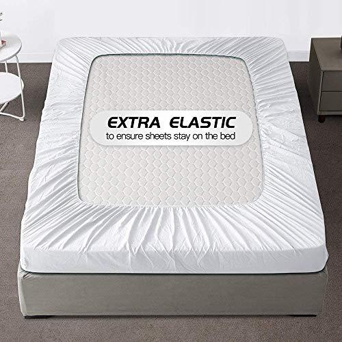 AVISHKA BEDDING Queen Size Fitted Sheet Only 60 x 80 Inches 19 Inch Deep Pocket 100% Egyptian Cotton 1 Piece Fitted Sheet Only All Around Elastic Wrinkle and Fade Resistant - White