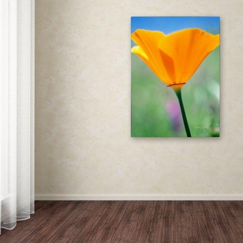 Brightown 50 Pack C7 Led Replacement Christmas Light Bulb, C7 Shatterproof Led Bulbs for Christmas String Lights, E12 Candelabra Base, Commercial Grade Dimmable Holiday Bulbs, Multicolor