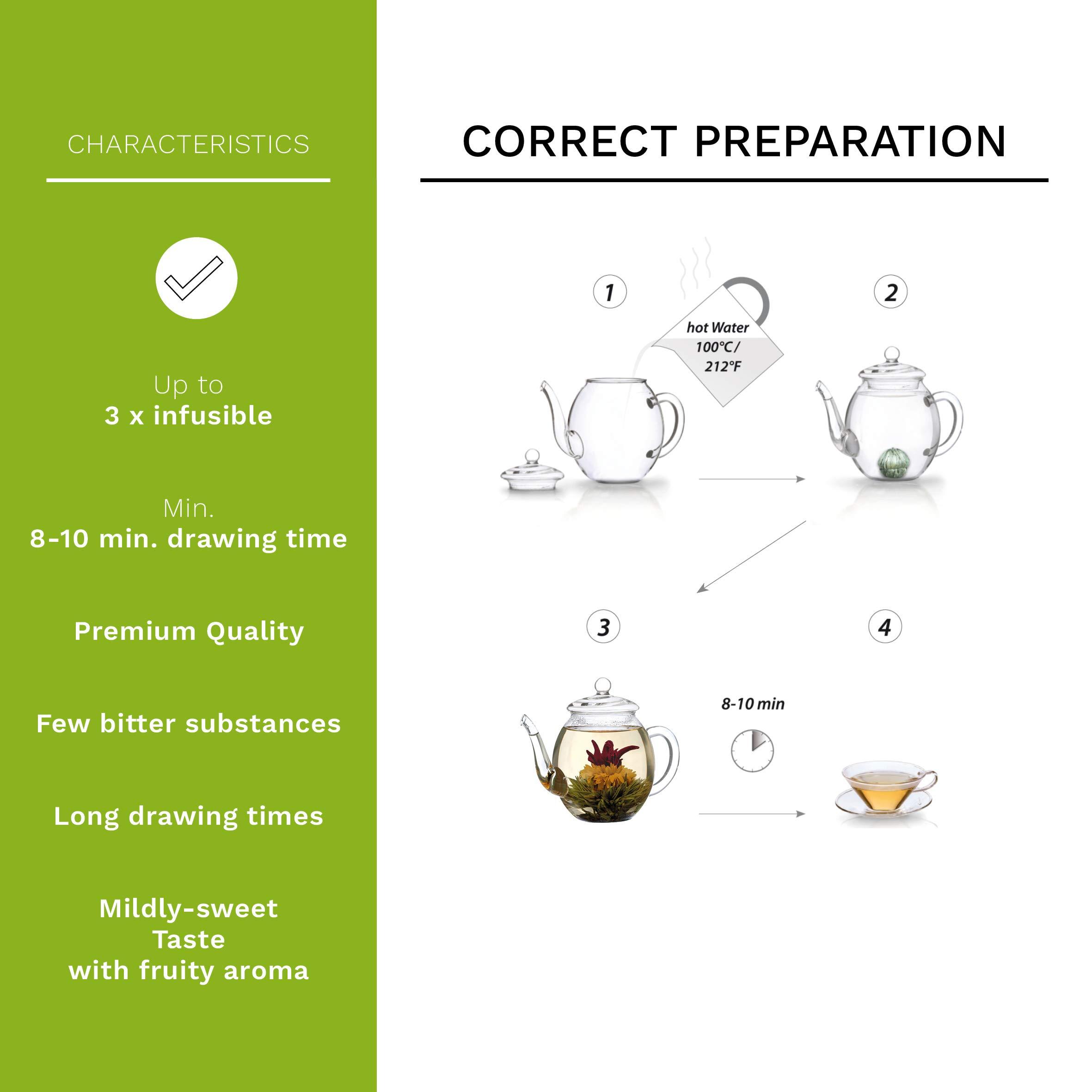 Creano Creano Blooming Tea Gift Set with Glass Teapot 17oz (500ml) - Green Tea Fruity Flavoured Tea Flowers in 6 Varieties - Flowering Tea Gift for Easter