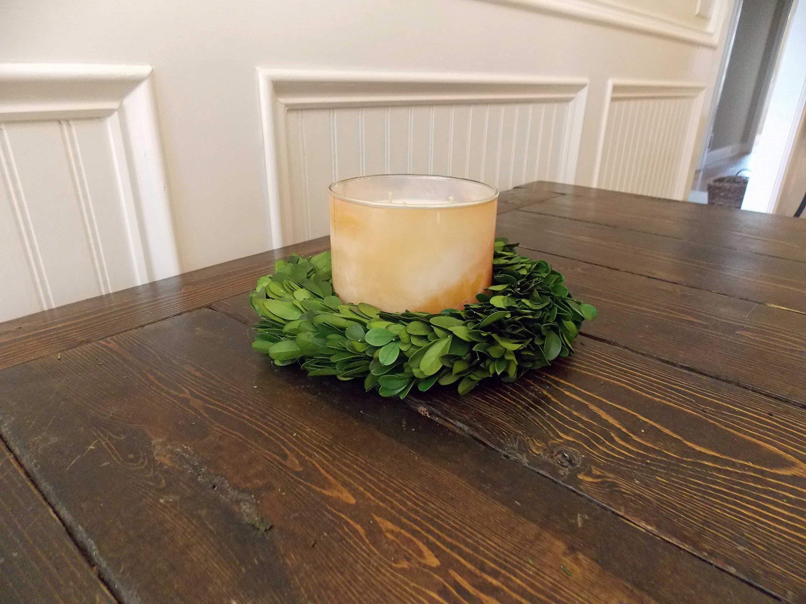 Wreath and Vine 10 Inch Small Mini Preserved Boxwood Wreath Candle Ring Holder, Decorative for Christmas Year Round, Spring, Summer, Thanksgiving, Rustic Farmhouse Holiday Home Decor, Handmade, Green
